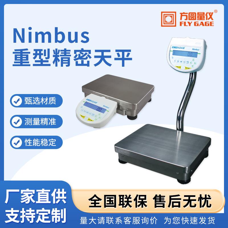 Nimbus重型精密天平黄金高精度电子分析天平实验室精密电子秤