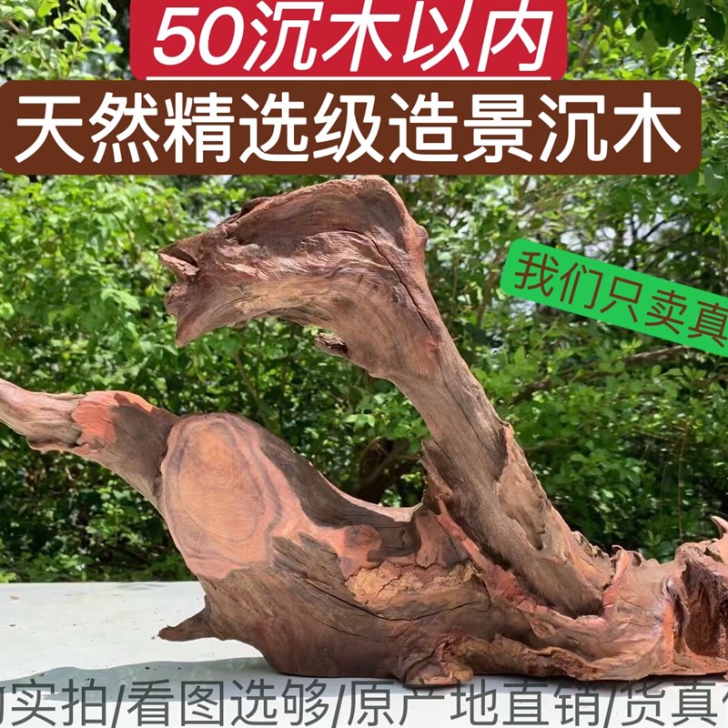 50cm以内的精选级水草造景枝条树桩龟晒台紫柚木树洞大号拱桥