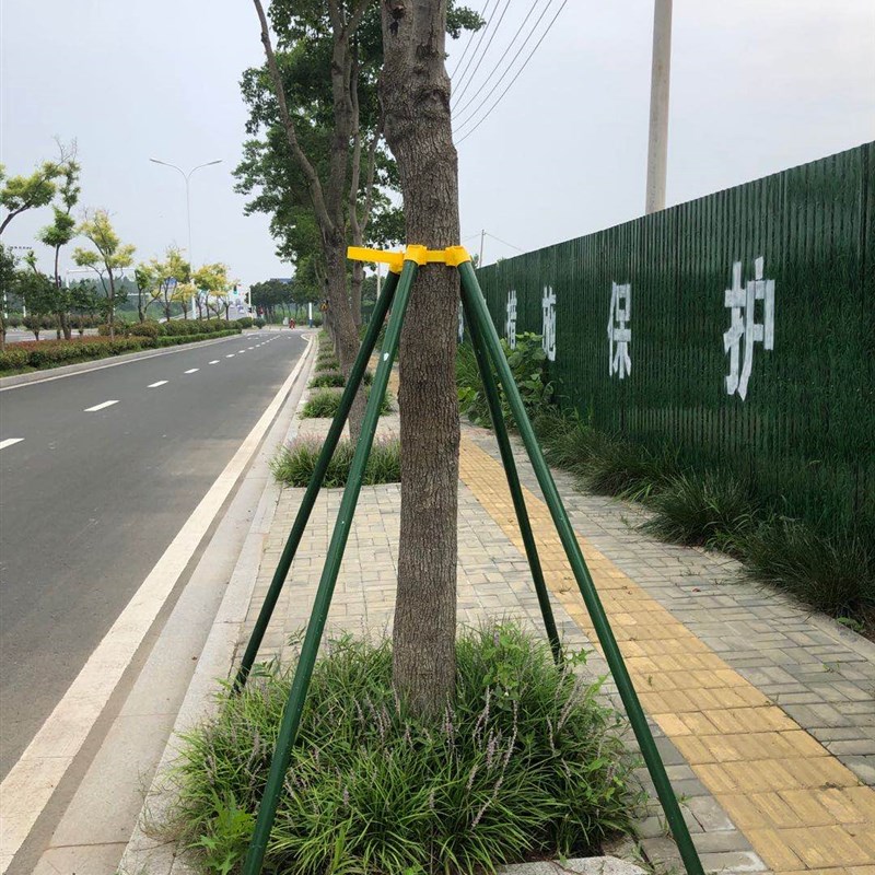 镀锌树木支架钢管大树支撑固定器园林绿化套杯套环苗木支撑捆绑