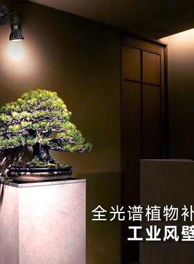 光联业天下全光谱植物光灯内盆栽ZQS绿植生长工风补壁灯室吊灯鱼