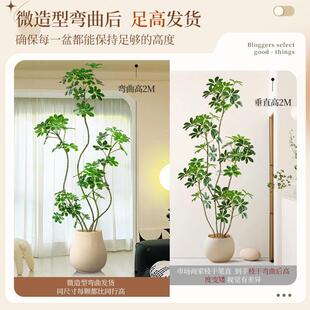 仿真绿植室内盆栽大型仿生植树物假奢客厅YJM-TT装品饰落地摆轻件