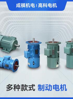 YEJ2系列电磁制动三相异步电动机380V失电制动电机交流电动机厂家