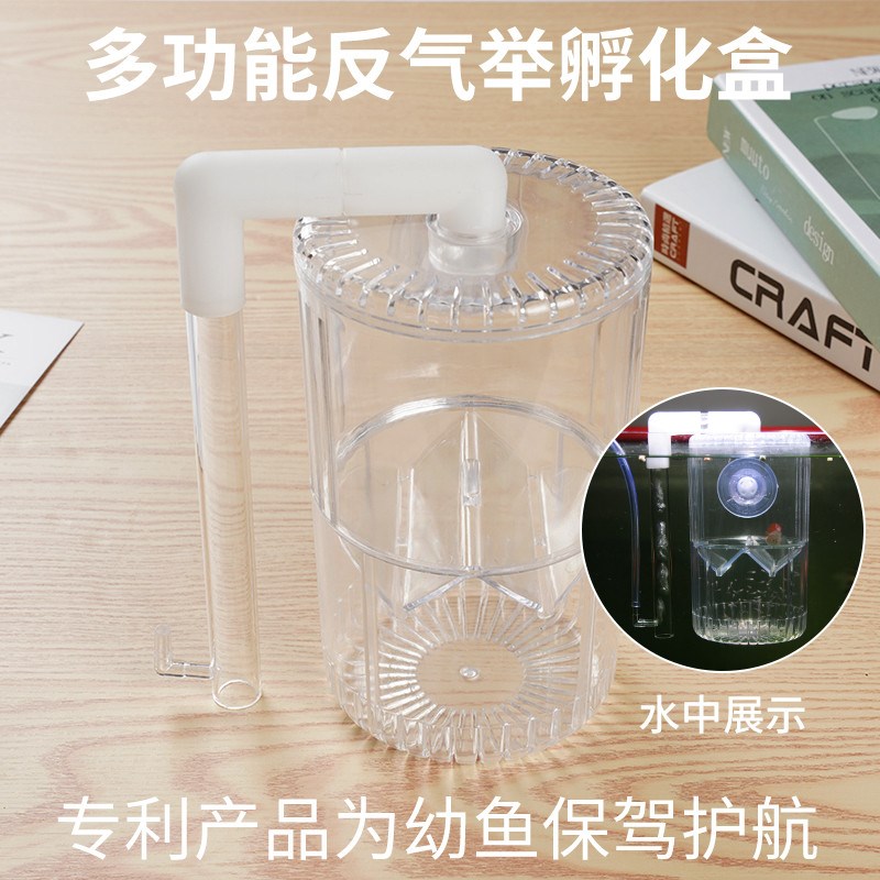 孔雀鱼繁殖盒鱼缸隔离孵化盒热带鱼小鱼特隔离网隔离箱孵化产卵房