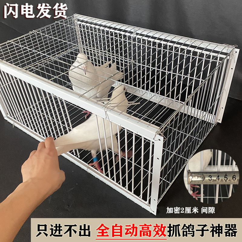 天落笼加密只进不出鸽子笼户外抓鸽笼陷阱笼神器全自动收鸽笼鸟笼