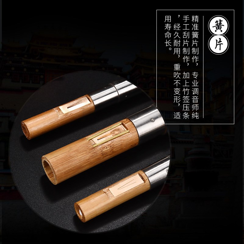 葫芦丝C调小学生专用成人初学降B调紫竹儿童防摔七孔民族演奏乐器