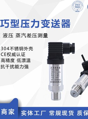 M514X-C2484E-250BG/CR-YM2/PT124B-210-25MPa-R1/4压力变送器