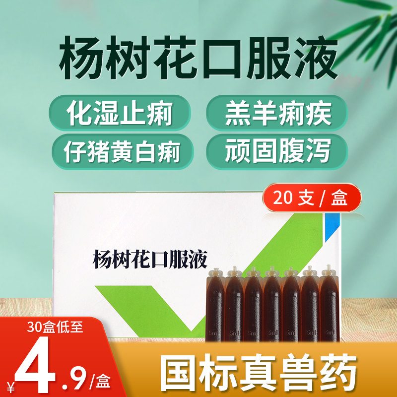 杨树花口服液兽药止痢散