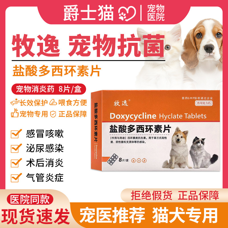 盐酸多西环素片猫鼻支宠物狗狗猫咪感冒药犬窝咳打喷嚏流鼻涕专用,宠物/宠物食品及用品,猫呼吸道疾病药品,淘宝优惠券,粉丝福利购,淘宝优惠卷