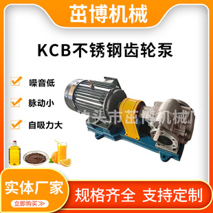 灌装 果汁灌装 机泵 抽花生油泵 泵 液体输送泵 KCB不锈钢齿轮泵