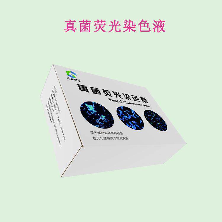 真菌荧光染色液实现真菌的快速检测,搭配专用荧光显微镜使用