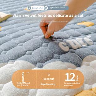 牛奶绒加床UZQ垫软垫家用绒毯子垫被宿舍生厚单学人冬加季绒床褥