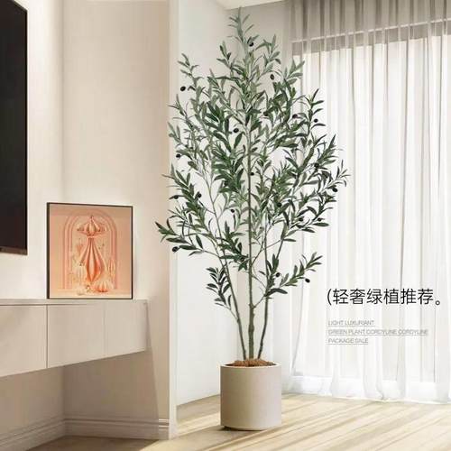 绿高植彷真GLS1218E橄树品质彷盆生植物造景室内客厅摆榄件装饰花