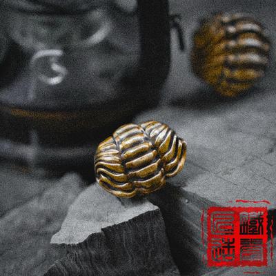 铁拳匠造 摩洛哥镜眼虫隐头虫三叶虫化石1比1覆刻铜雕手把件茶宠