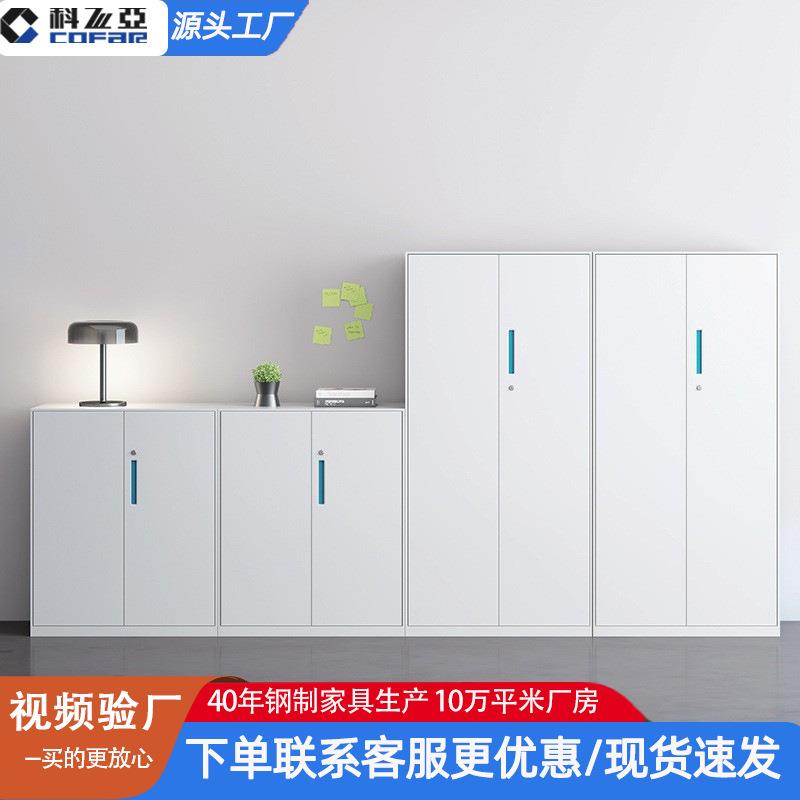 文件柜办公室资料收纳柜铁皮柜档案柜加厚带锁财务凭证柜钢制加厚