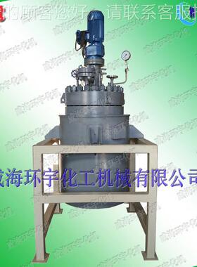 专生业反产 定制实验室 科研反应 磁力搅GSH拌釜高温高压应釜