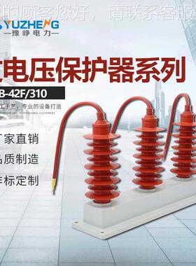TBP-B-35/200 TBP-B-42F/310户内B型35KV三相组合式过电压保护器