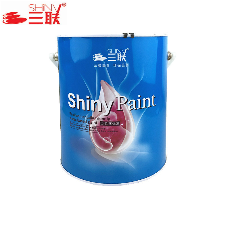 三联外用水性木器漆 木漆金属 墙面家具漆 哑光白色清漆木油漆3kg