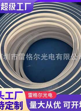 低压灯带ip68防水实心供挤户外1616正发光软灯条LED硅胶霓虹灯条