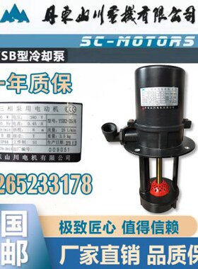 丹东山川三相电泵原厂200W冷却水泵油泵YSB2-256数控车床冷却水泵