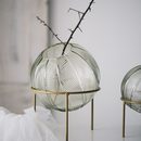 透明玻璃客厅餐桌圆球花瓶干花插花北欧现代简约创意装 饰摆件