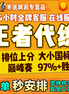 王者荣耀代练代打排位战力巅峰赛省标金标陪玩带上分大小国标车队