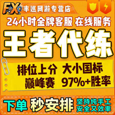 王者荣耀代练代打排位战力巅峰赛省标金标陪玩带上分大小国标车队
