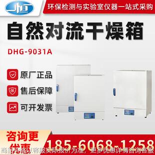 9051A 9031A 9091A 9141A 自然对流干燥箱 正品 9201A 上海DHG