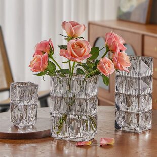 玫瑰玻璃花瓶摆件客厅插花欧式高级感透明水养水培简约鲜花插瓶