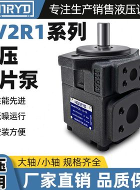 PV2R1-14-FR油研叶片泵PVL1-31/28/25/23/19/17/12-F1注塑机油泵