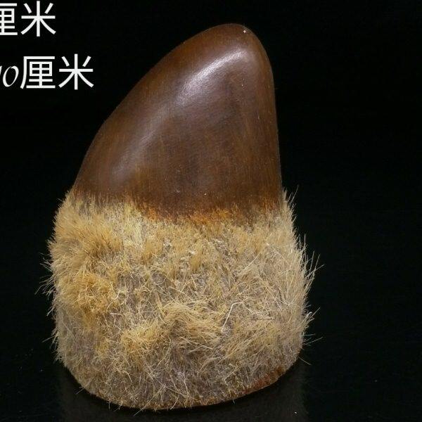 角制品牛角精品牛角尖工艺品仿古做旧工艺礼品古玩收藏