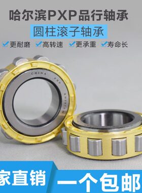 哈尔滨圆柱滚子轴承RN317 318 319 320 321 322 324 326 328 330M