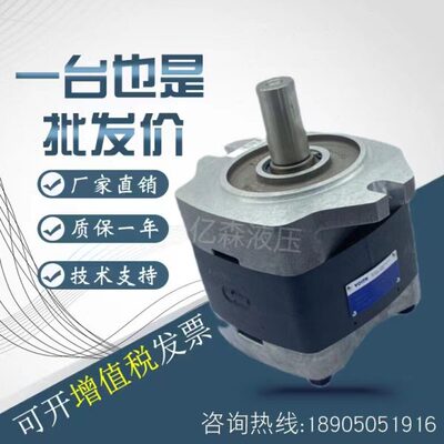 福伊特VOITH齿轮泵IPVP6-80-101/IPVP6-64-101/IPVP6-125-100 101