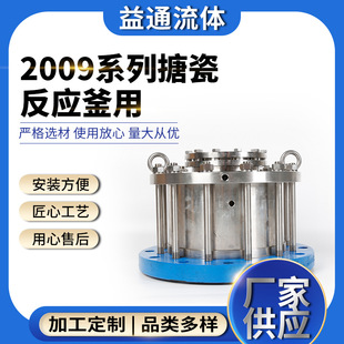 2009系列搪瓷反应斧用厂家供应非金属材质