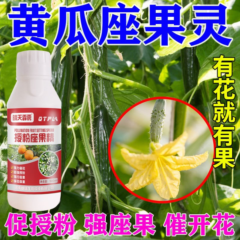 黄瓜肥黄瓜授粉药坐果灵w催花促花促果增产增收防落拉直拉长