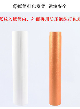 法国康颂素描纸1K全开二开2K半开对开2开160g180g180克大张加厚整