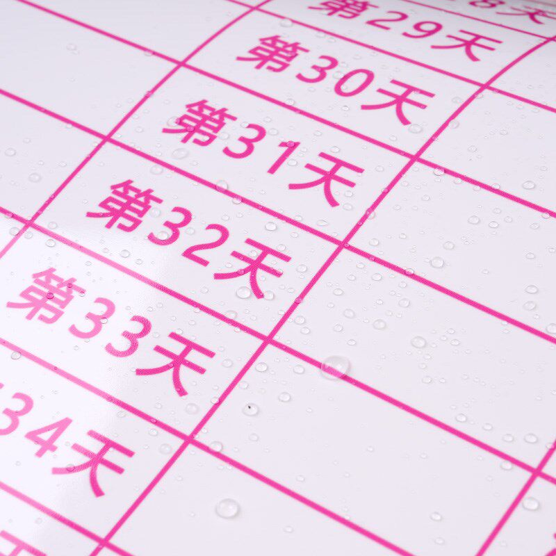 60天双排带日期体重打卡计划表健身生活自律减服记录墙贴自我管理