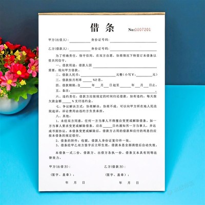 民间私人借款借条定做二联个人借钱合同欠款单通用借据抵押赊账本