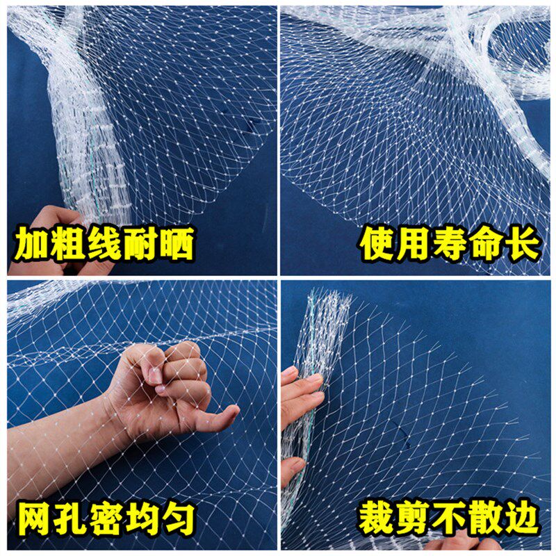 大棚草莓尼龙网果树防鸟用网阳台尼龙线丝网樱桃树罩果园纱网网子,农机/农具/农膜,农用防鸟网,淘宝优惠券,粉丝福利购,淘宝优惠卷