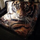 装 饰挂毯休闲毯盖毯空调毯老虎头猛虎文艺创意办公室毛毯午睡毯