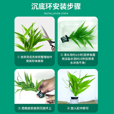 南美青竹水草植物真草鱼缸水草造景水族活净水阴性新手懒造景套餐