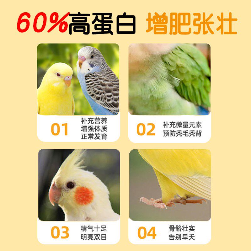 鹦鹉面包虫干奖励零食八哥吃的虫子虎皮玄凤小太阳专用鸟粮食饲料