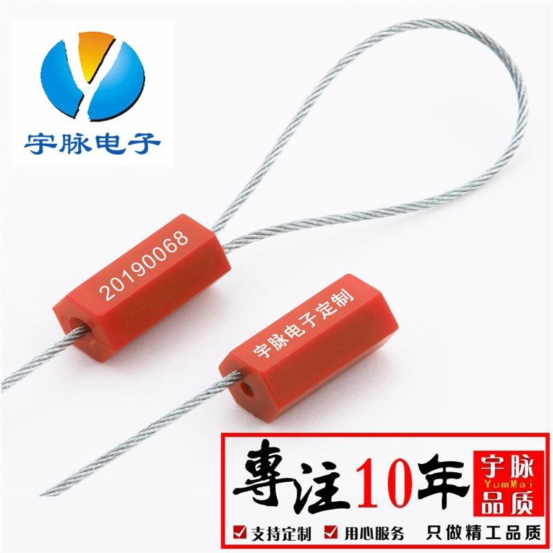 订做抽紧式钢丝封条集装箱铅封货柜车施封锁油罐车防盗30cm 100条,基础建材,缎带/扎带,淘宝优惠券,粉丝福利购,淘宝优惠卷