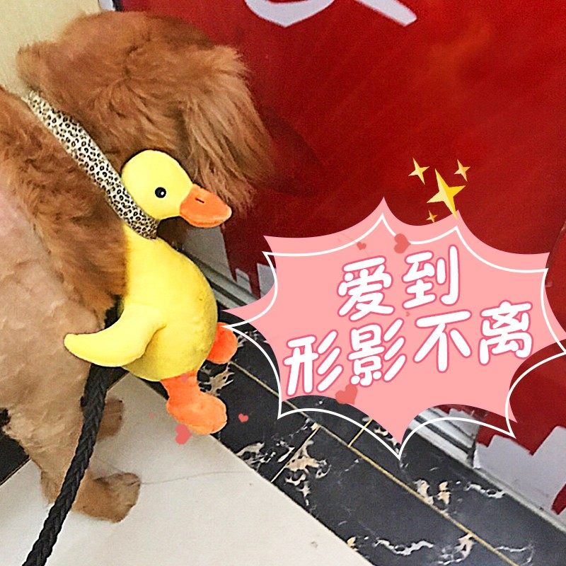 狗狗玩具发泄毛绒耐咬发声球小型犬小狗泰迪幼犬磨牙宠物狗发情期,宠物/宠物食品及用品,发声玩具,淘宝优惠券,粉丝福利购,淘宝优惠卷