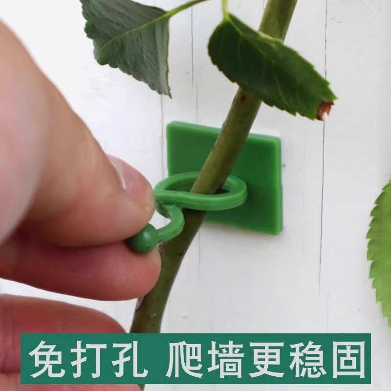 【下单立减50】爬墙固定器小夹子藤蔓卡扣绿植爬藤隐形自粘
