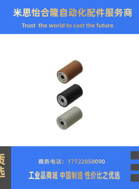 聚氨酯滚轮带轴承RORB RORM RORSA RORWS RORNS RORSS20 25 30 35