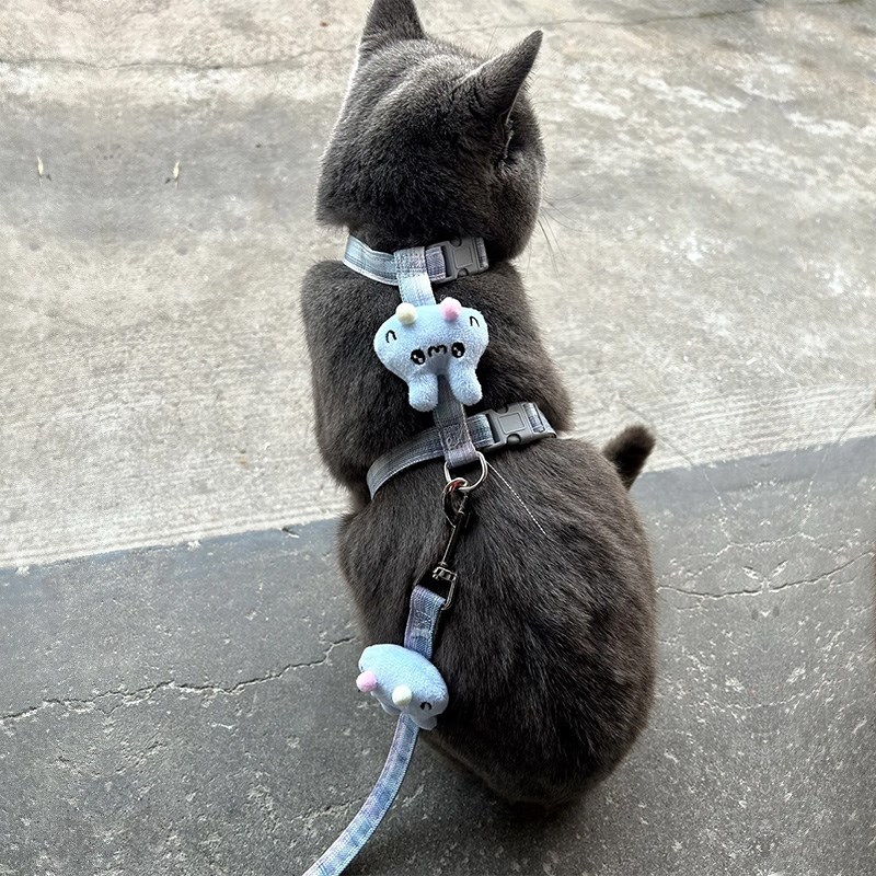 猫咪牵引绳防挣脱外出专用遛猫绳链子神器工字绳幼猫背带宠物用品
