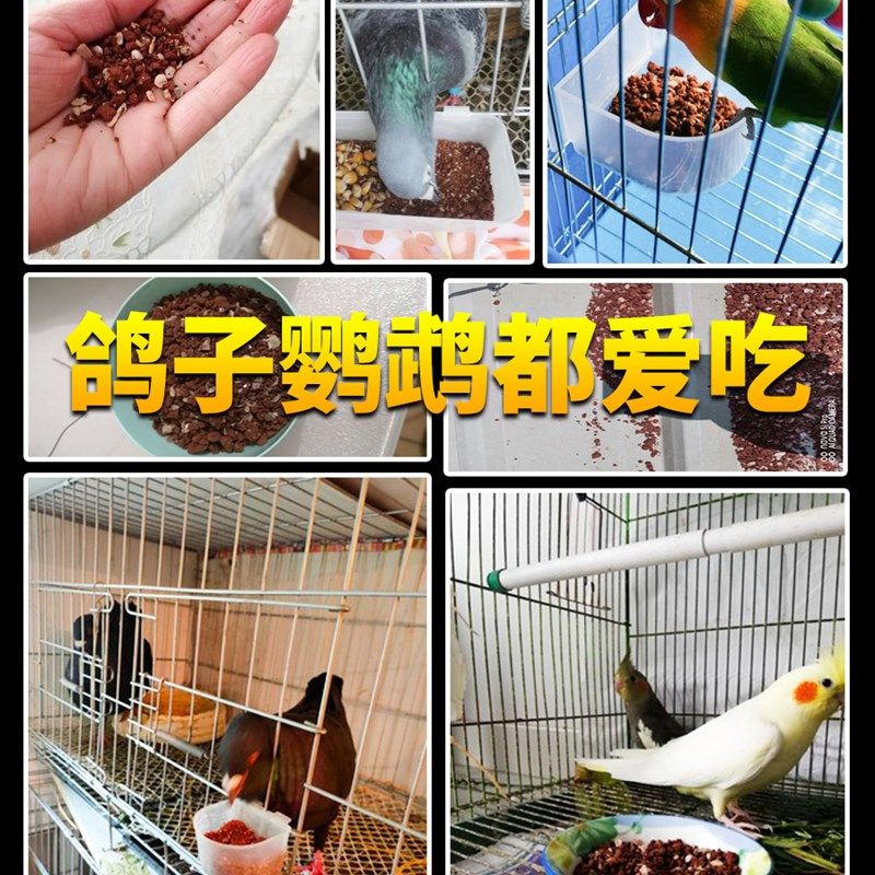 保健砂鸽子保健沙高钙营养补钙鸟用鹦鹉红土饲料粮食鸽粮鸽子食粮,宠物/宠物食品及用品,鸟食,淘宝优惠券,粉丝福利购,淘宝优惠卷