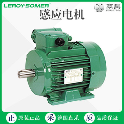 工厂直采 德国 LEROY SOMER 感应电机 多型号可询 LS P系列