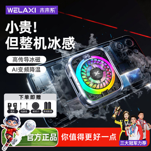 未来系15W大功率真结冰散热器