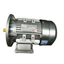 供应YEJ71 20.55W电磁制动电机